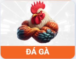 icon ÄÃ¡ gÃ  OPEN88